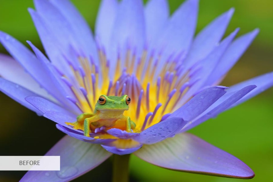 rule of thirds examples before and after