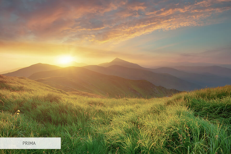 scarica gratis after effects pacchetto lut cinematografici