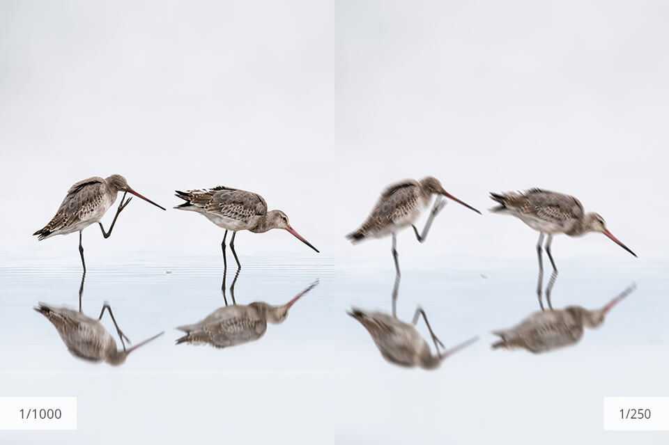 shutter speed for reflection photography