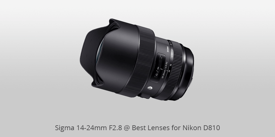 lenses for nikon d810 sigma