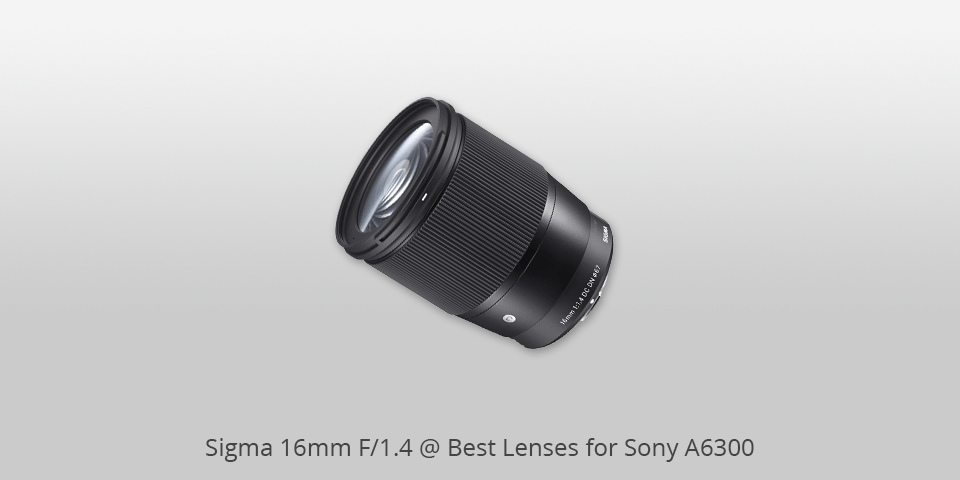 lenses for sony a6300 sigma