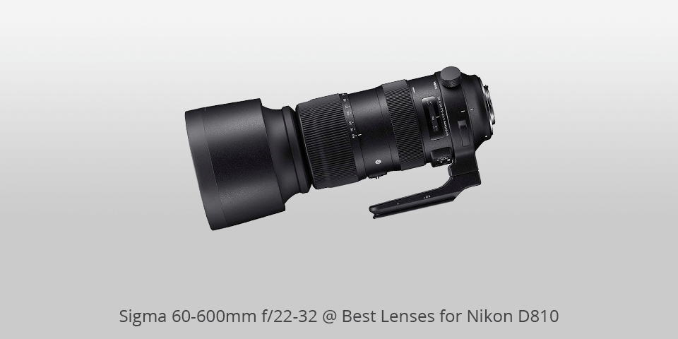lenses for nikon d810 sigma