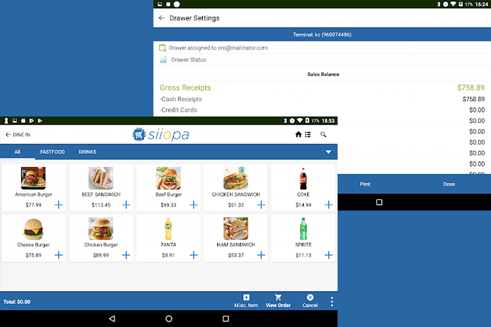siiopa free pos software interface