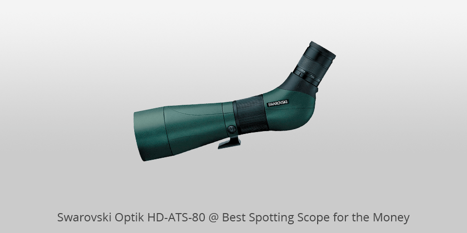 spotting scope for the money swarovski hd