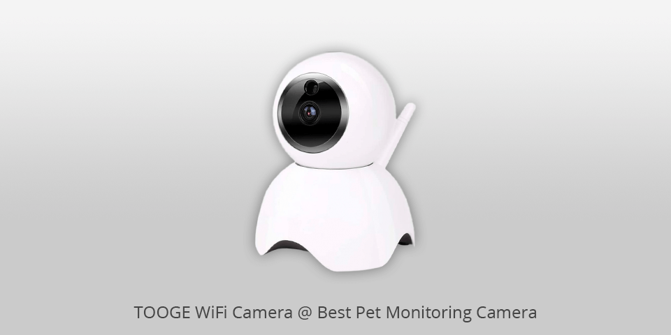 pet monitoring camera tooge