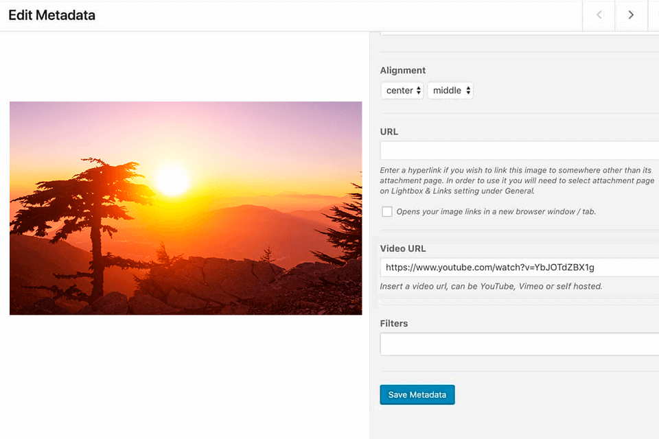 video wp modula review