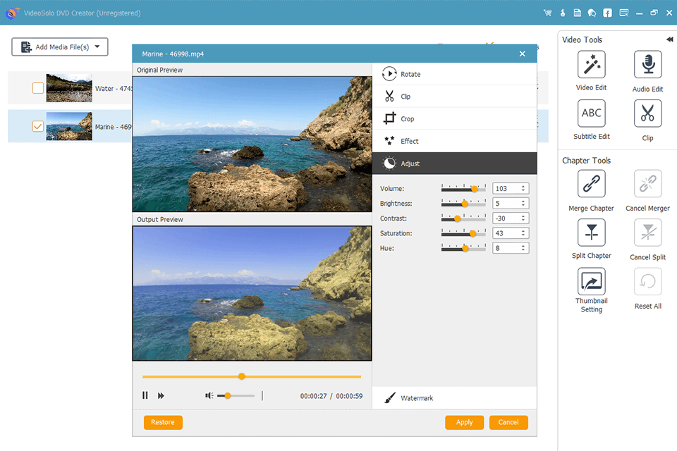 vidpaw burnanydvd edit