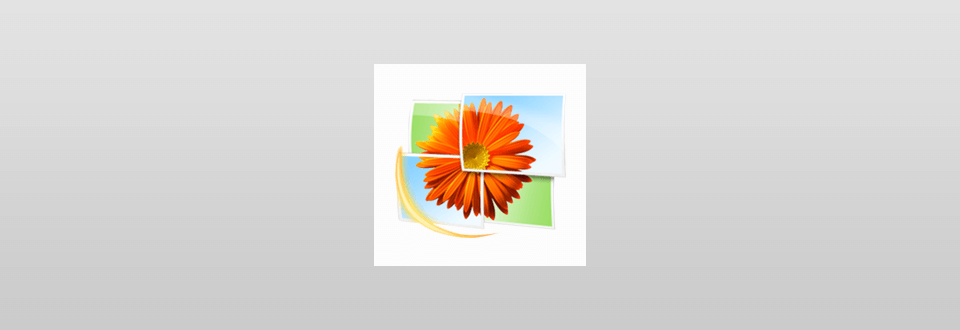 windows live photo gallery download logo