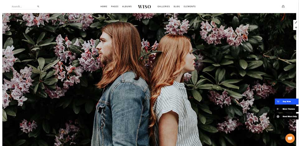 wiso wordpress theme
