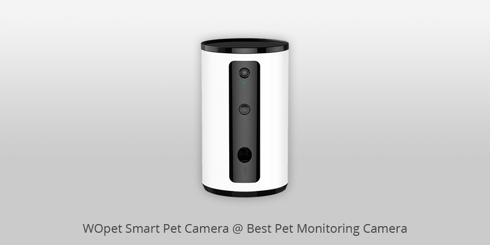 pet monitoring camera wopet smart