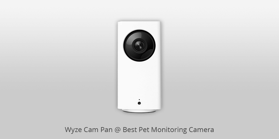 pet monitoring camera wyze
