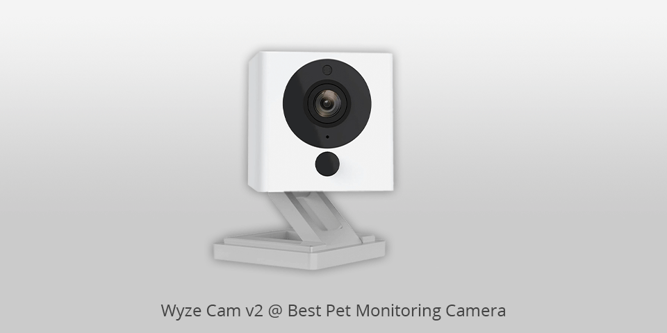 pet monitoring camera wyze cam