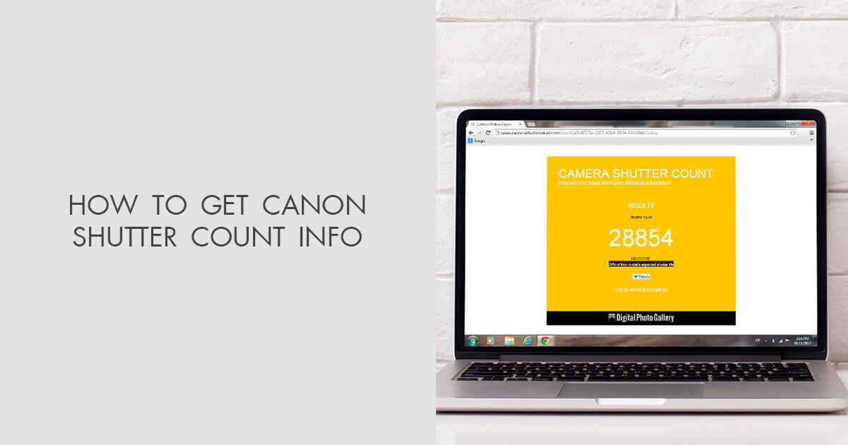 canon shutter count online free