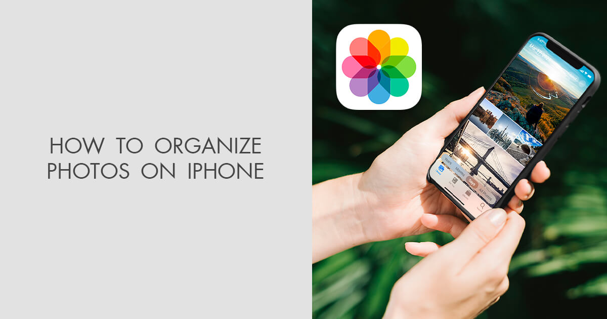How to Organize Photos On iPhone Easily