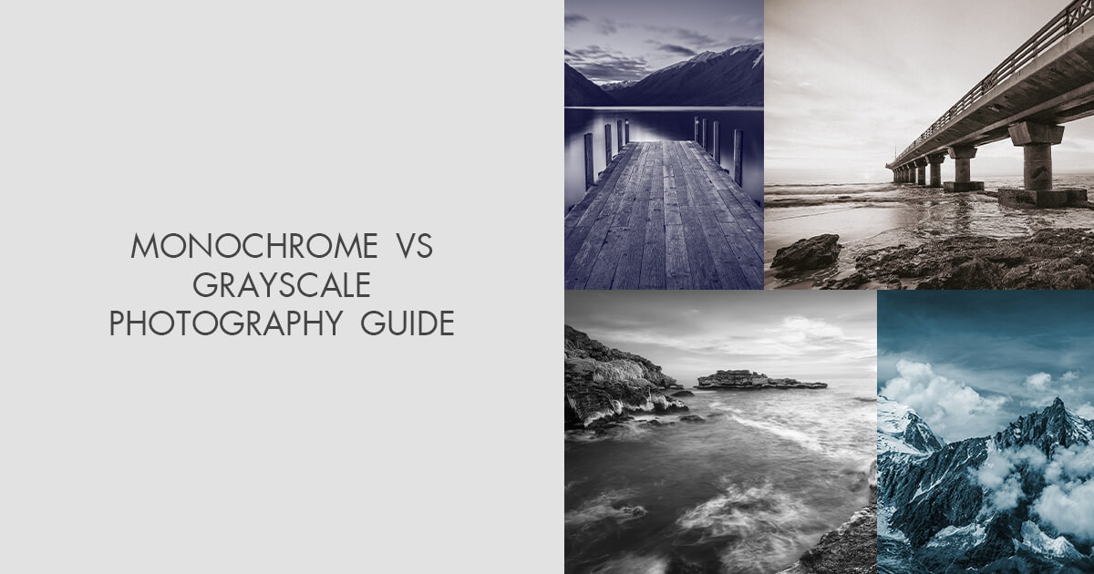 grayscale vs monochrome