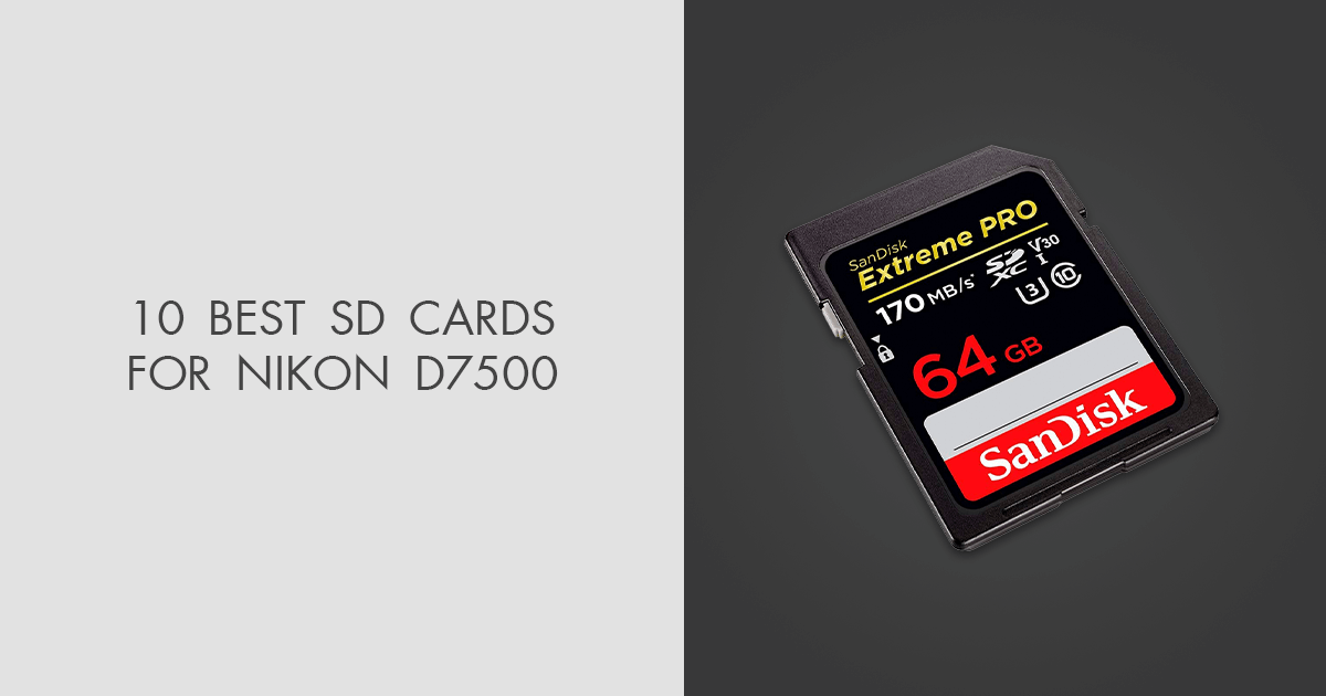 6 Best SD Cards For Nikon D7500 in 2024