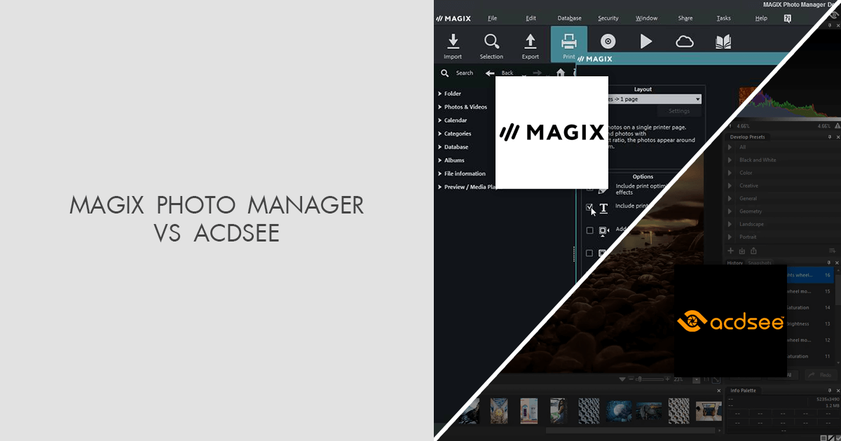 magix vs adobe