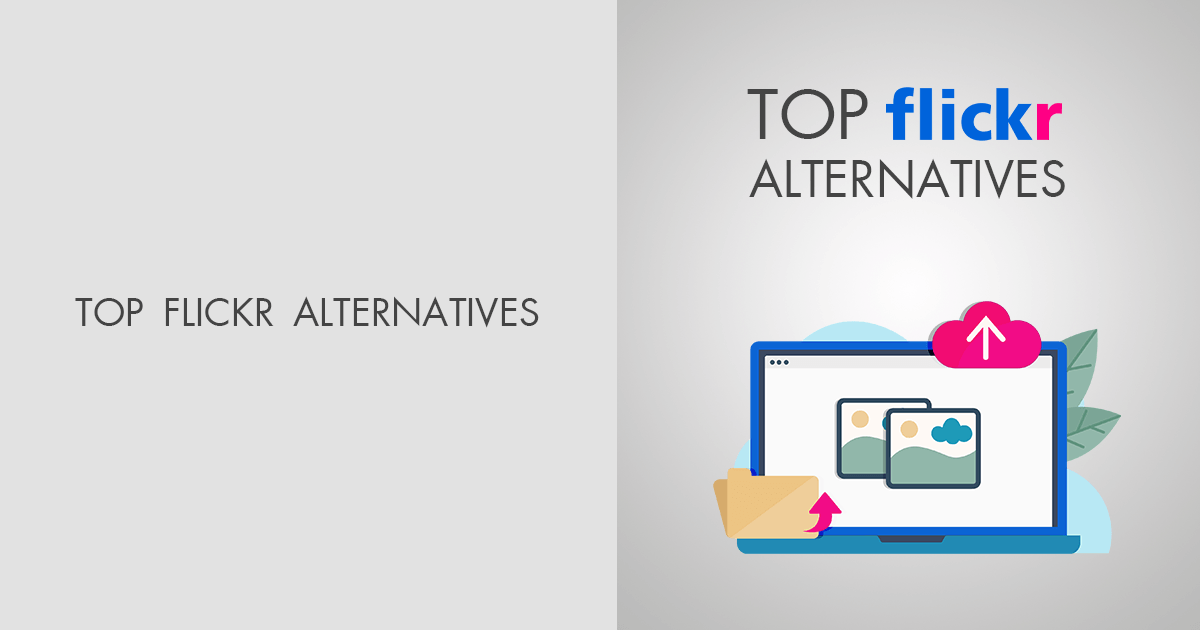 8 Best Flickr Alternatives to Use in 2024