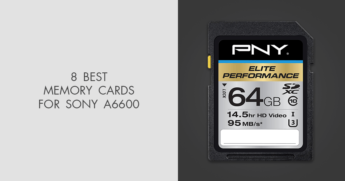 8 Best Memory Cards For Sony A6600 in 2024