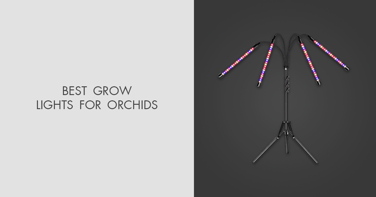 8 Best Grow Lights For Orchids in 2024