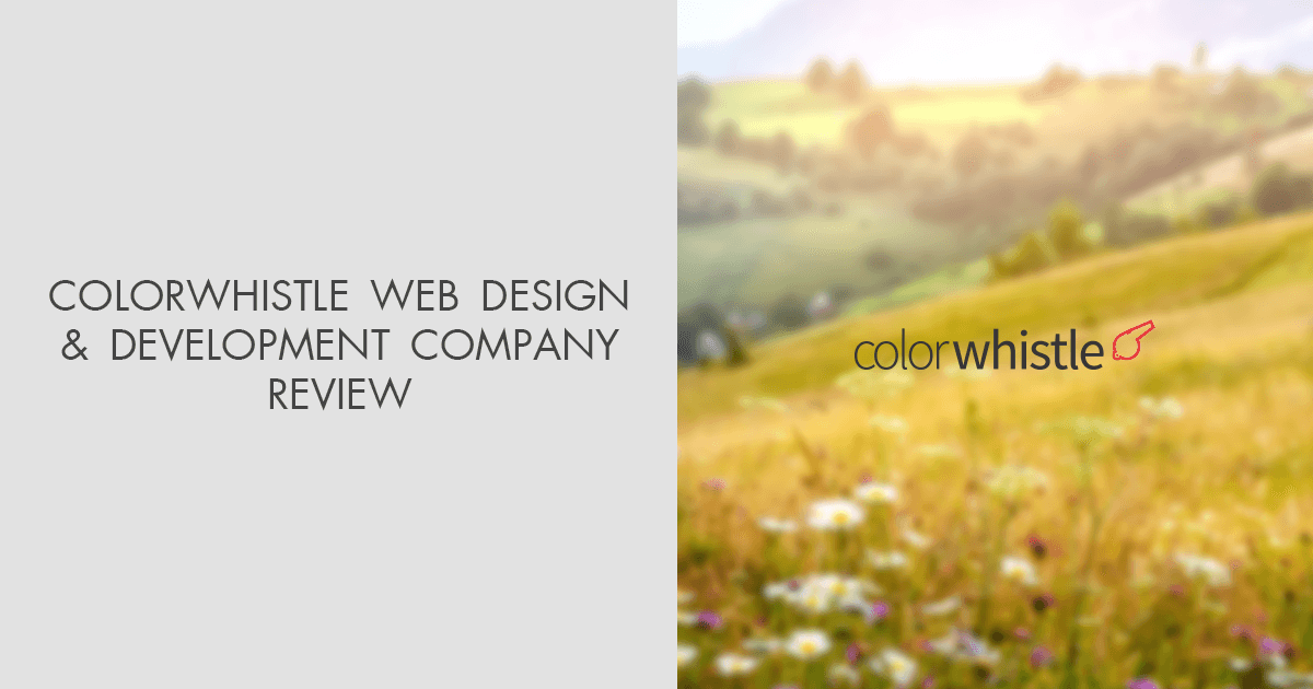 ColorWhistle Web Design & Development Company Review