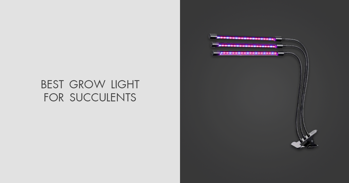 6 Best Grow Lights For Succulents in 2023