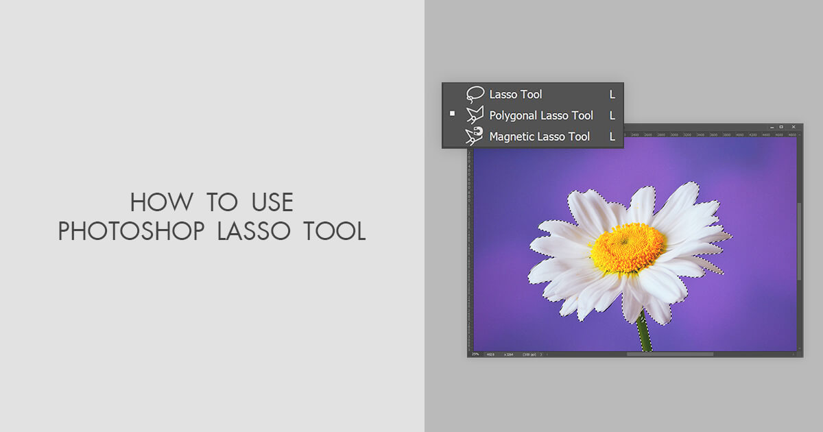 Lasso Tool Guide Select Objects Easily