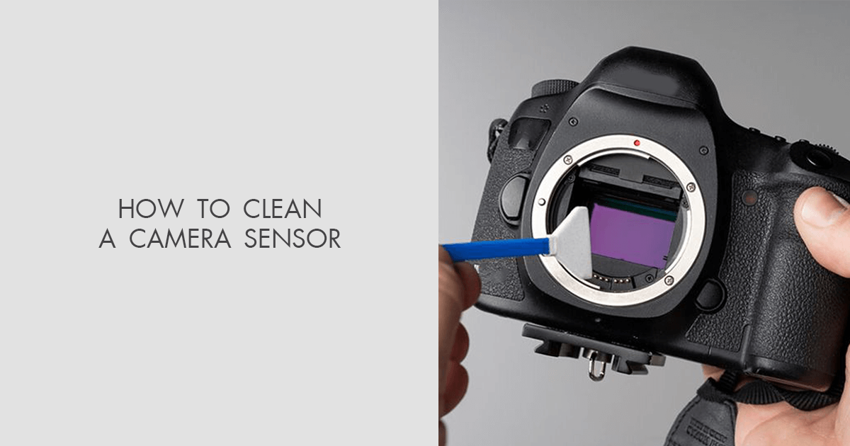 How to Clean a Camera Sensor FullService Cleaning Tutorial