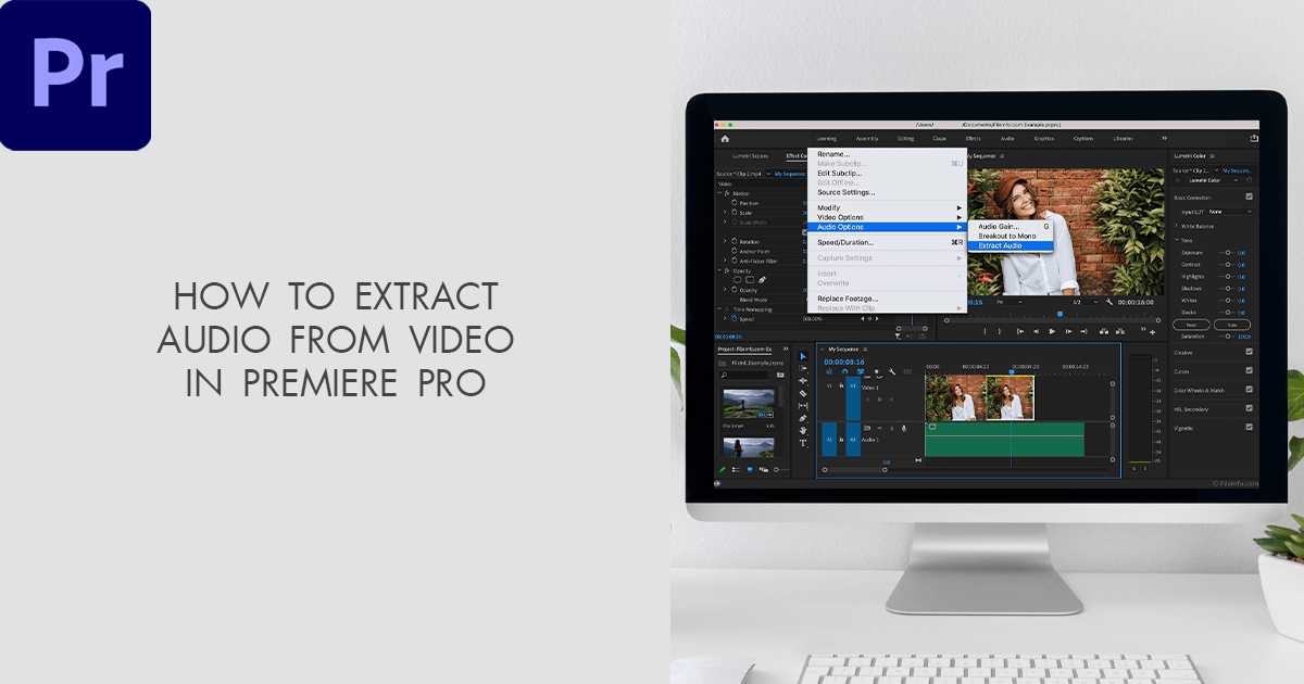 How To Extract Audio From Video In Premiere Pro