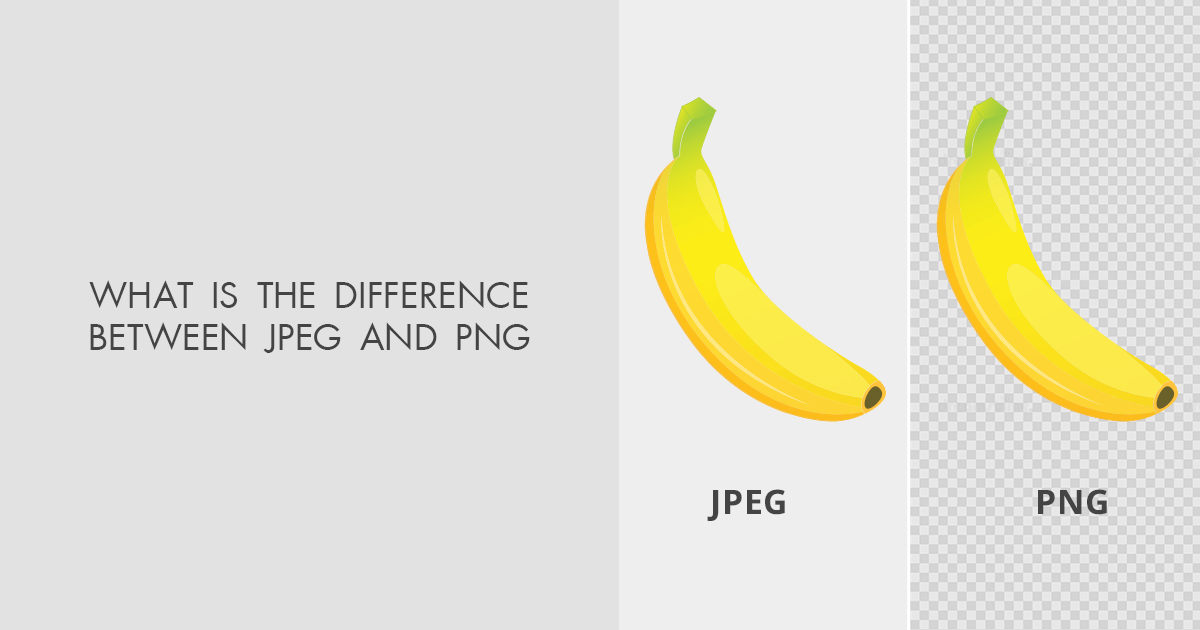 Difference Between JPEG and PNG – Which Should You Use?