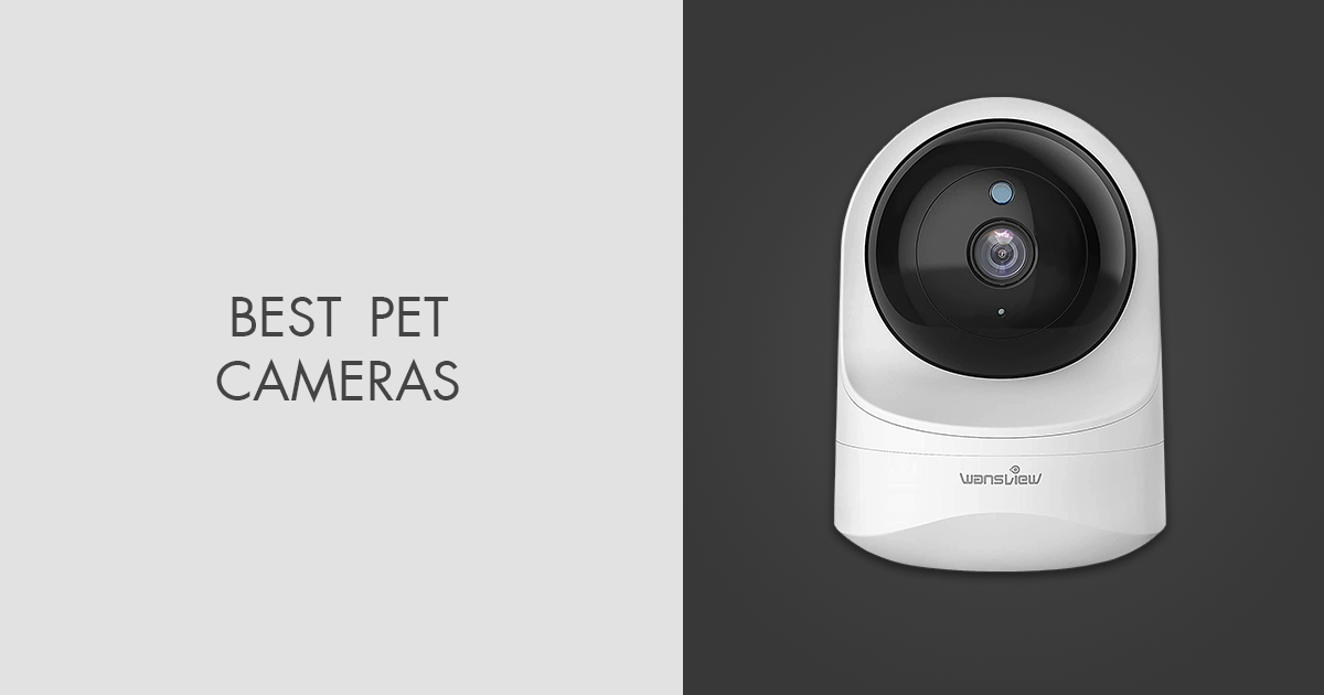 9 Best Pet Cameras For RV Use in 2024
