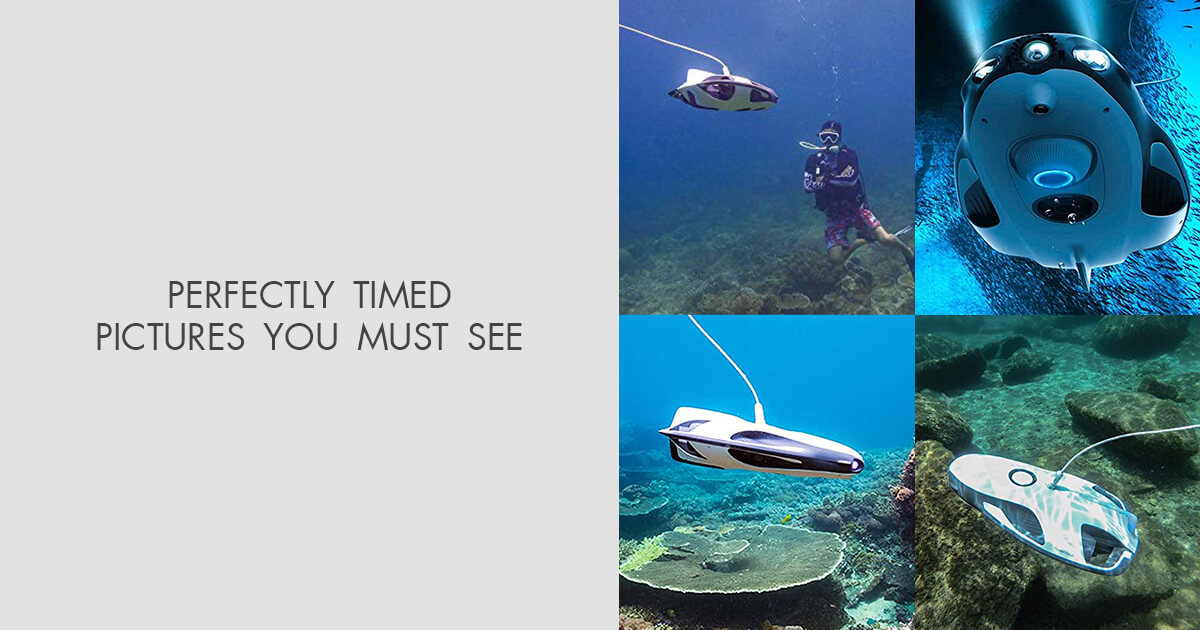 7 Best Underwater Drone Cameras to Buy in 2024