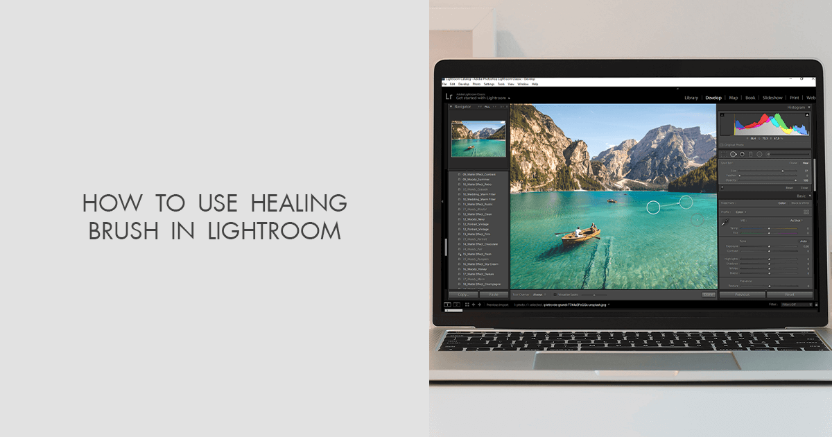 How to Use Healing Brush in Lightroom 2024 Version