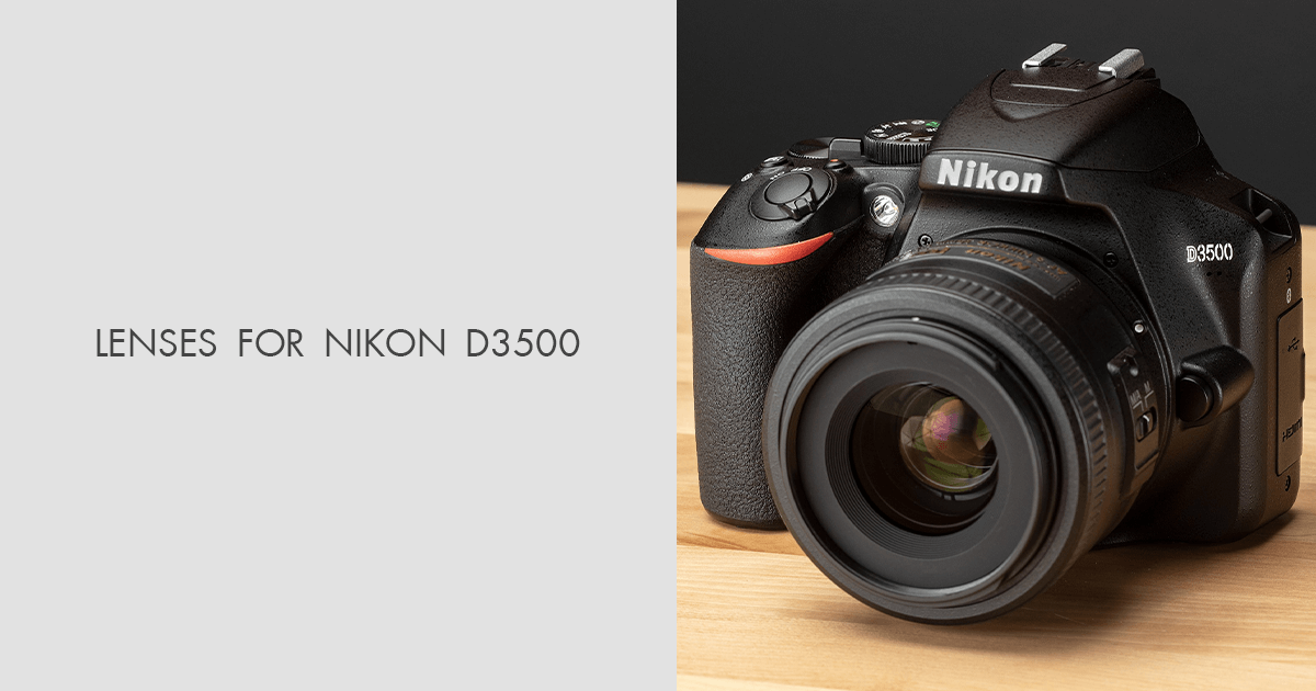 5 Best Lenses for Nikon D3500 of 2024