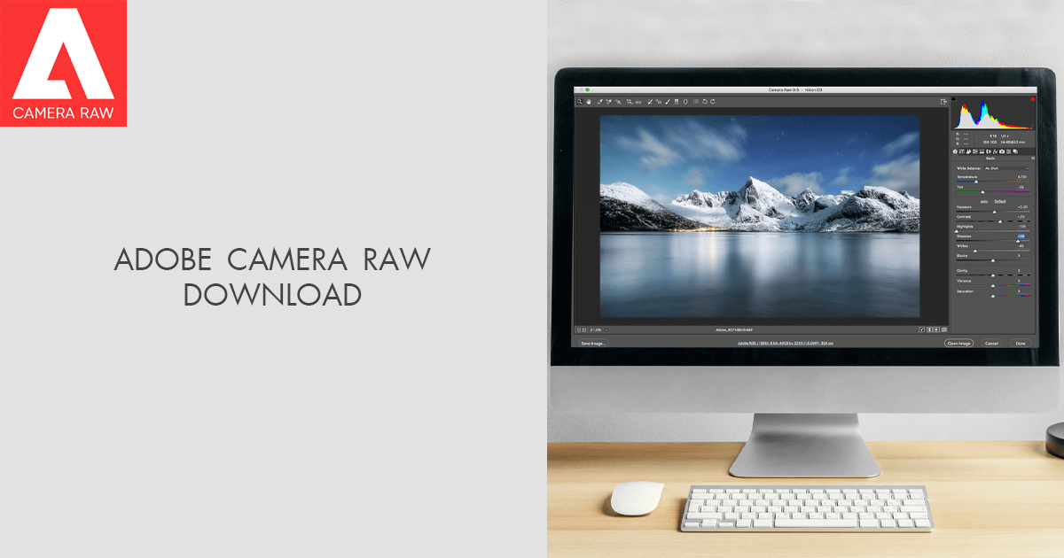 Adobe Camera RAW Download (2024 VERSION)