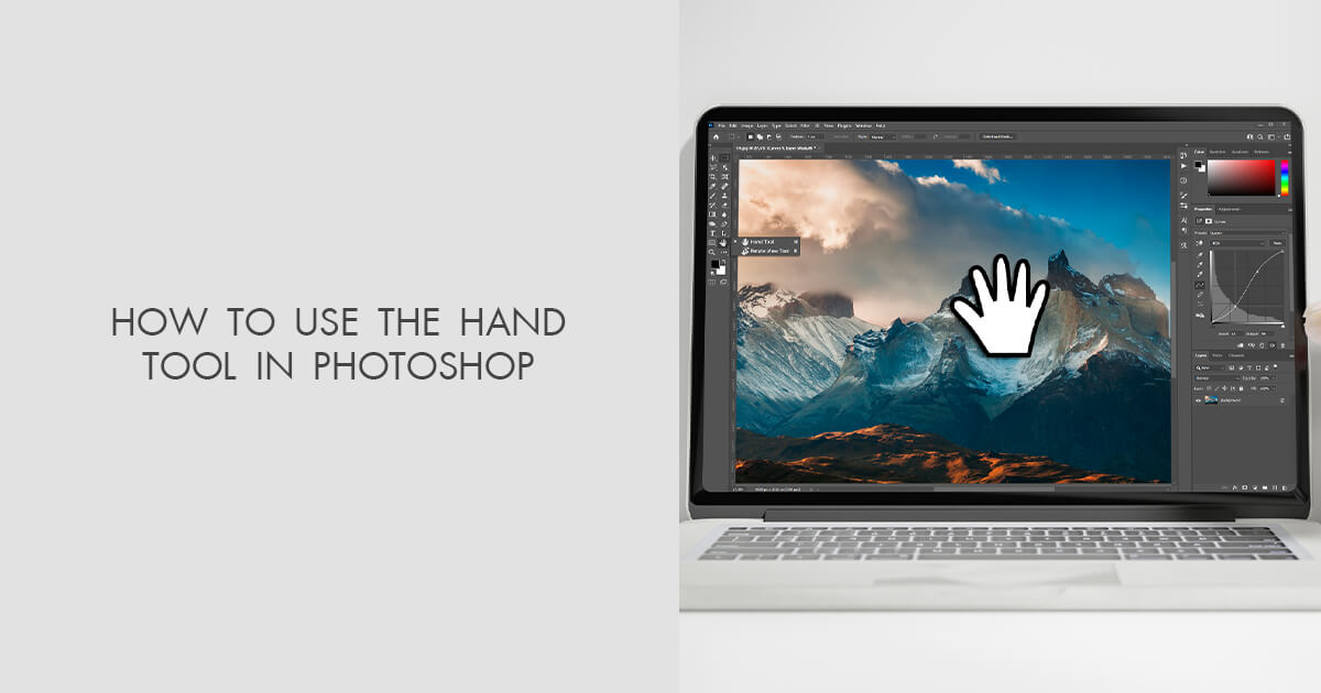 How to Use the Hand Tool in Beginner’s Guide