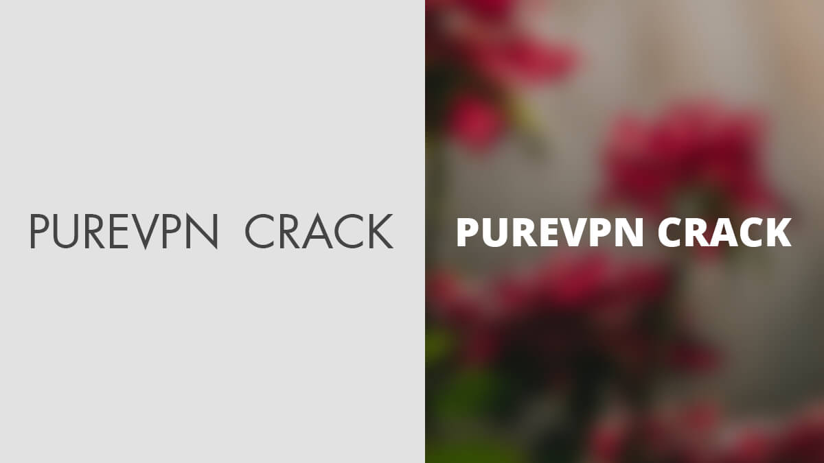 purevpn crack