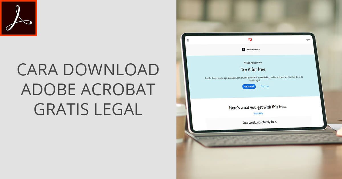 Yalangoch akrobatlar onlayn