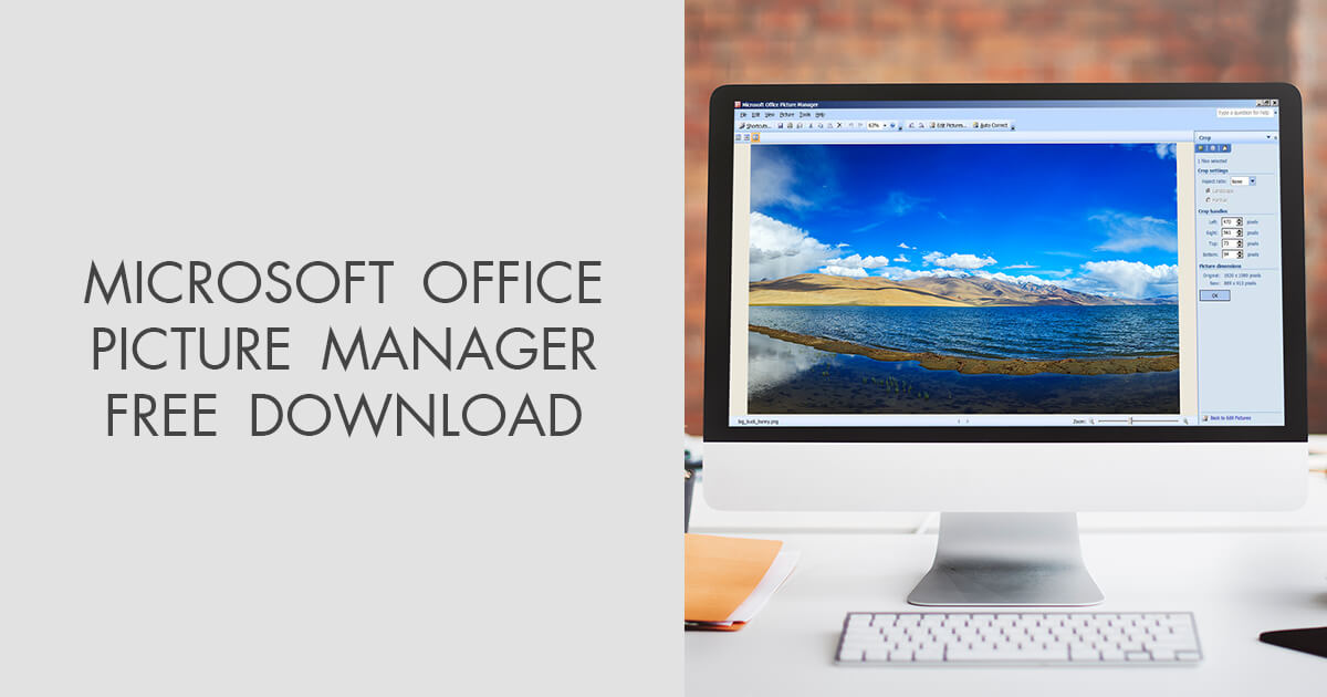 microsoft office picture manager free download
