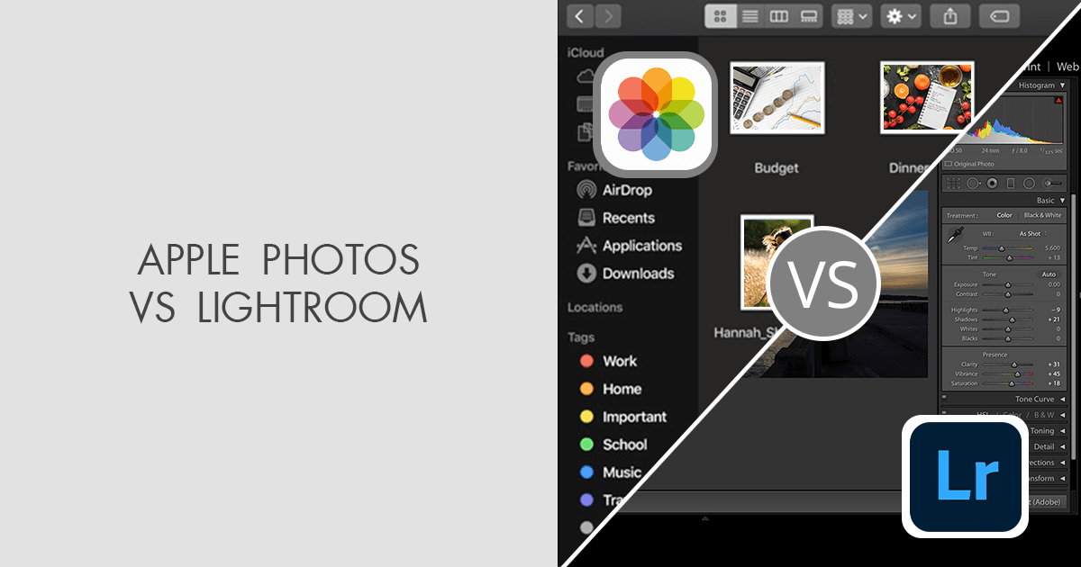 Apple Photos vs Lightroom Which Is Completely the Winner?