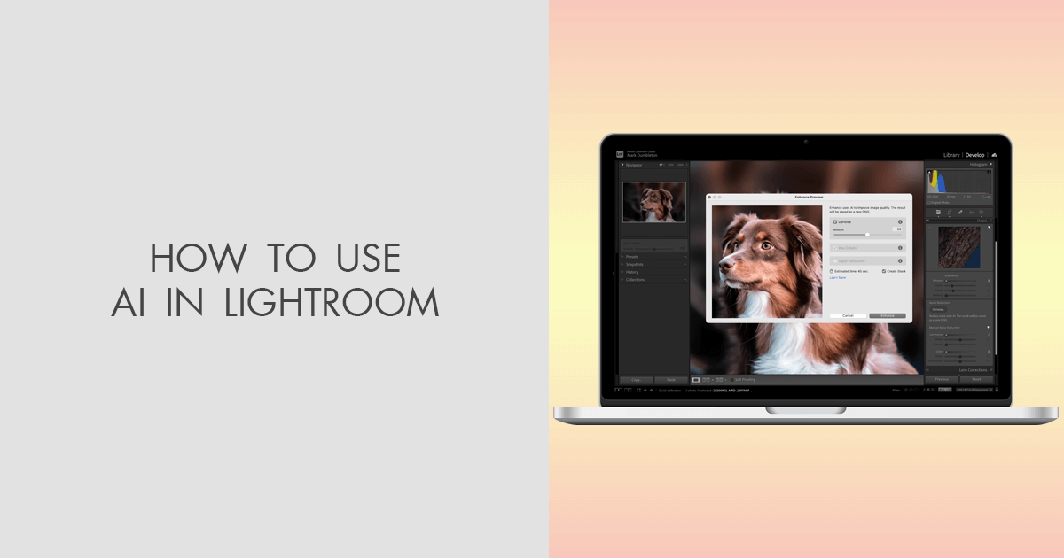 Lightroom AI: Updated Features to Make Editing Easy