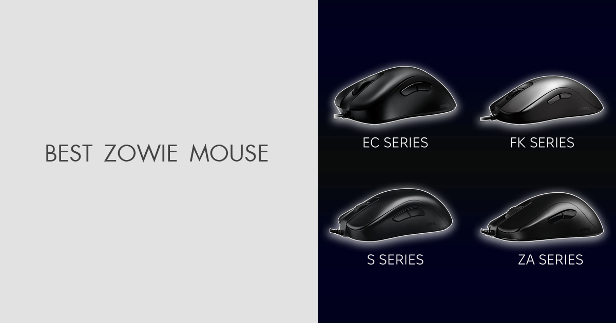 4 Best Zowie Mouse in 2022