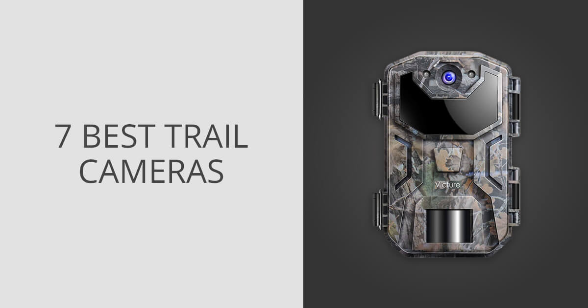 7 Best Trail Cameras in 2024 Ranked & Reviews