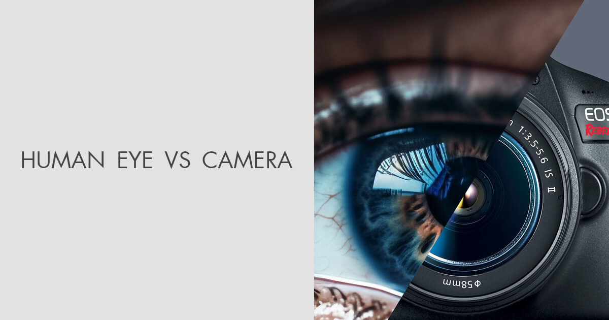 What Makes the Human Eye and Camera So Different