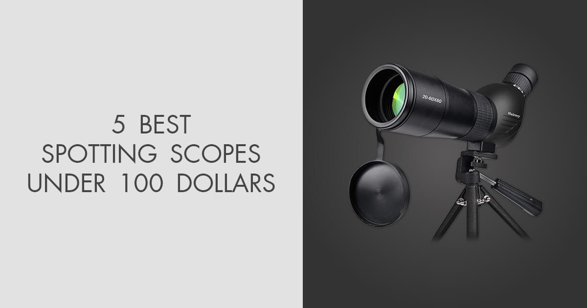 5 Best Spotting Scopes under 100 Dollars in 2024