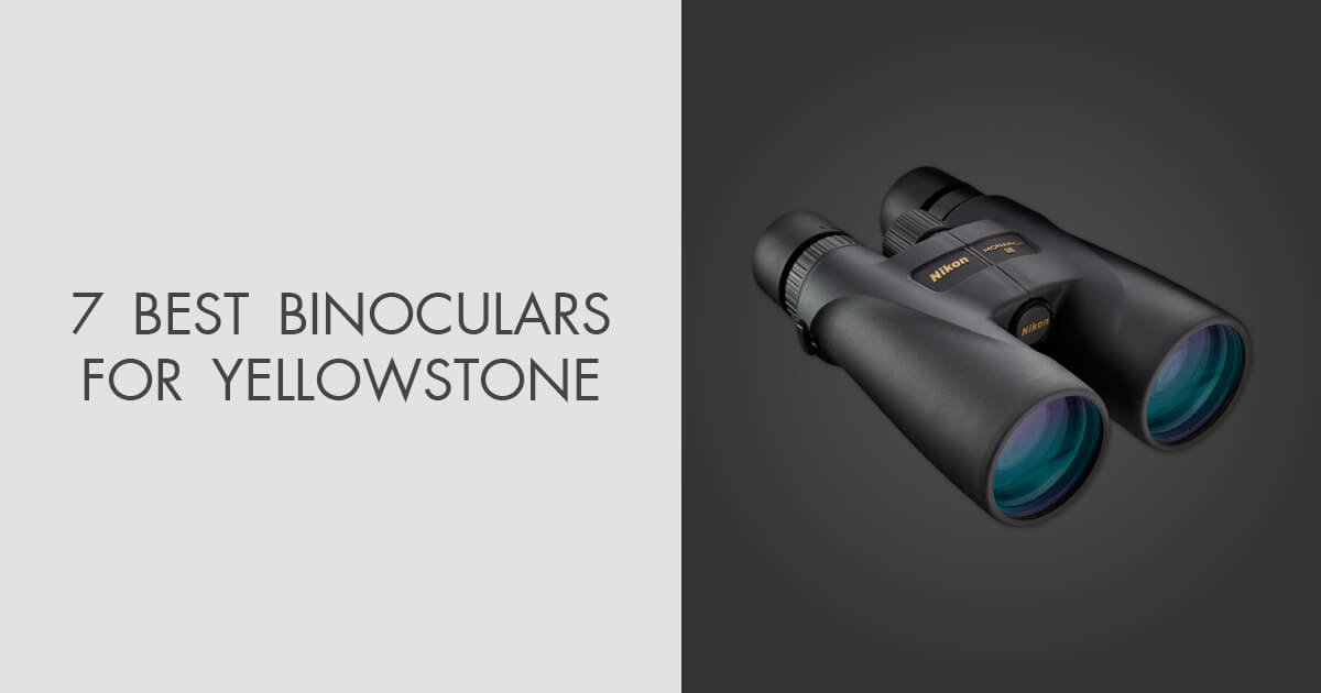 7 Best Binoculars for Yellowstone in 2024