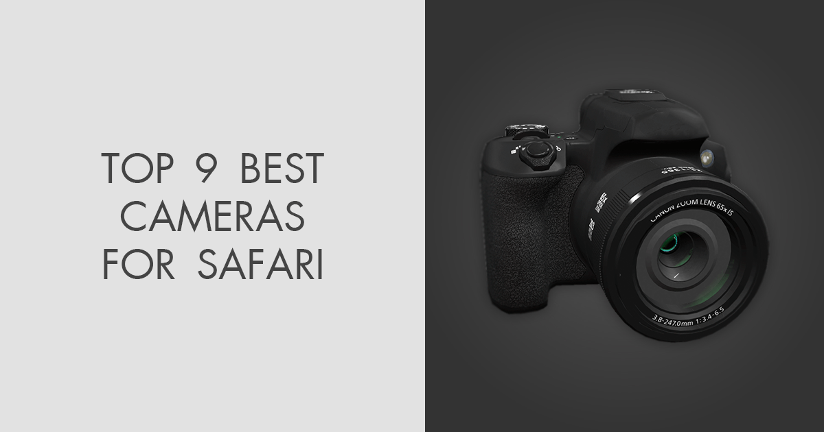 9 Best Cameras for Safari in 2024