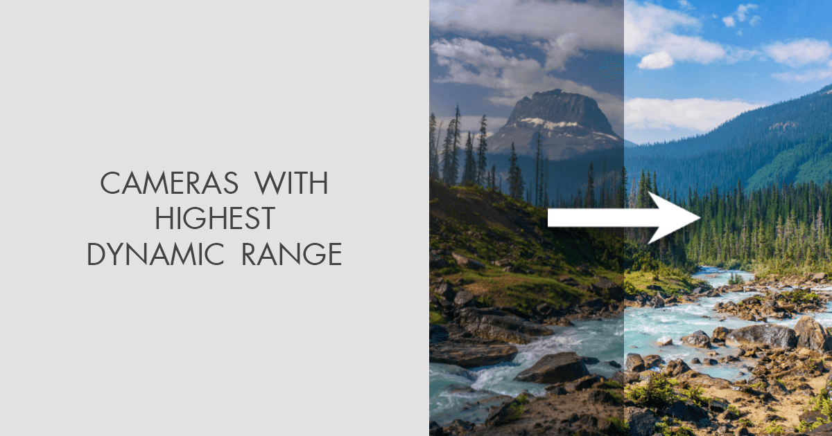 Cameras with Highest Dynamic Range: Rankings & Comparison