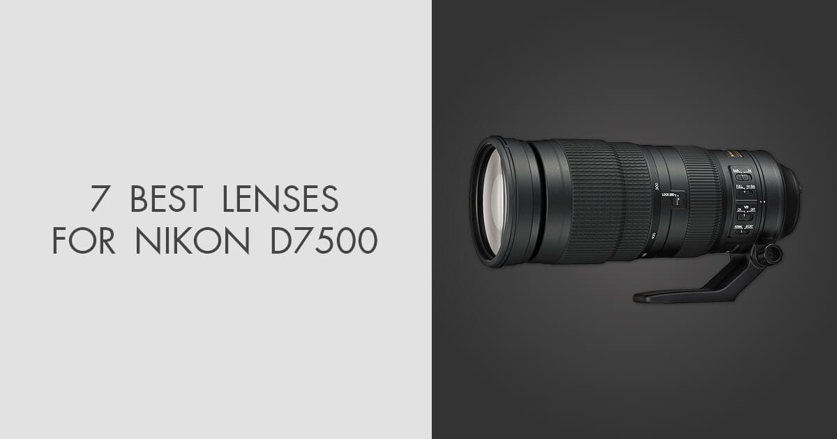 7 Best Lenses for Nikon D7500 in 2024