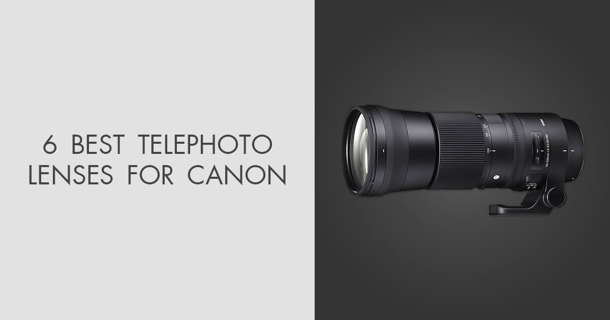 6 Best Telephoto Lenses for Canon in 2024